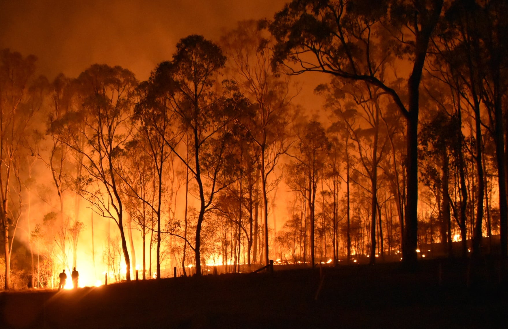 Bush Fire — Joinery in Central Coast NSW